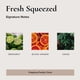 thumbnail image 4 of Perfume en roll-on BROKEN TOP Fresh Squeezed natural vegano, 4 of 7