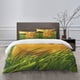 thumbnail image 1 of poke-mon Bedding Sets Bed Cartoon Duvet Cover Lightweight 3 Piece Bet Sets for Kids Boys Girls, 1 of 4