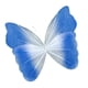 thumbnail image 1 of Mariposa Artificial Gigante Decorativa Para Fotos, Ideal Para Bodas, Interiores Y Exteriores, Con Degradado Azul Oscuro., 1 of 5