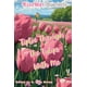 thumbnail image 1 of Revista KissMet Trimestral Primavera 2026, 1 of 1