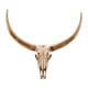 thumbnail image 4 of Escultura De Pared Con Cabeza De Toro Y Calavera, Obra De Arte Artesanal Para Chimenea, Galería, Granja, Estilo C, 4 of 5