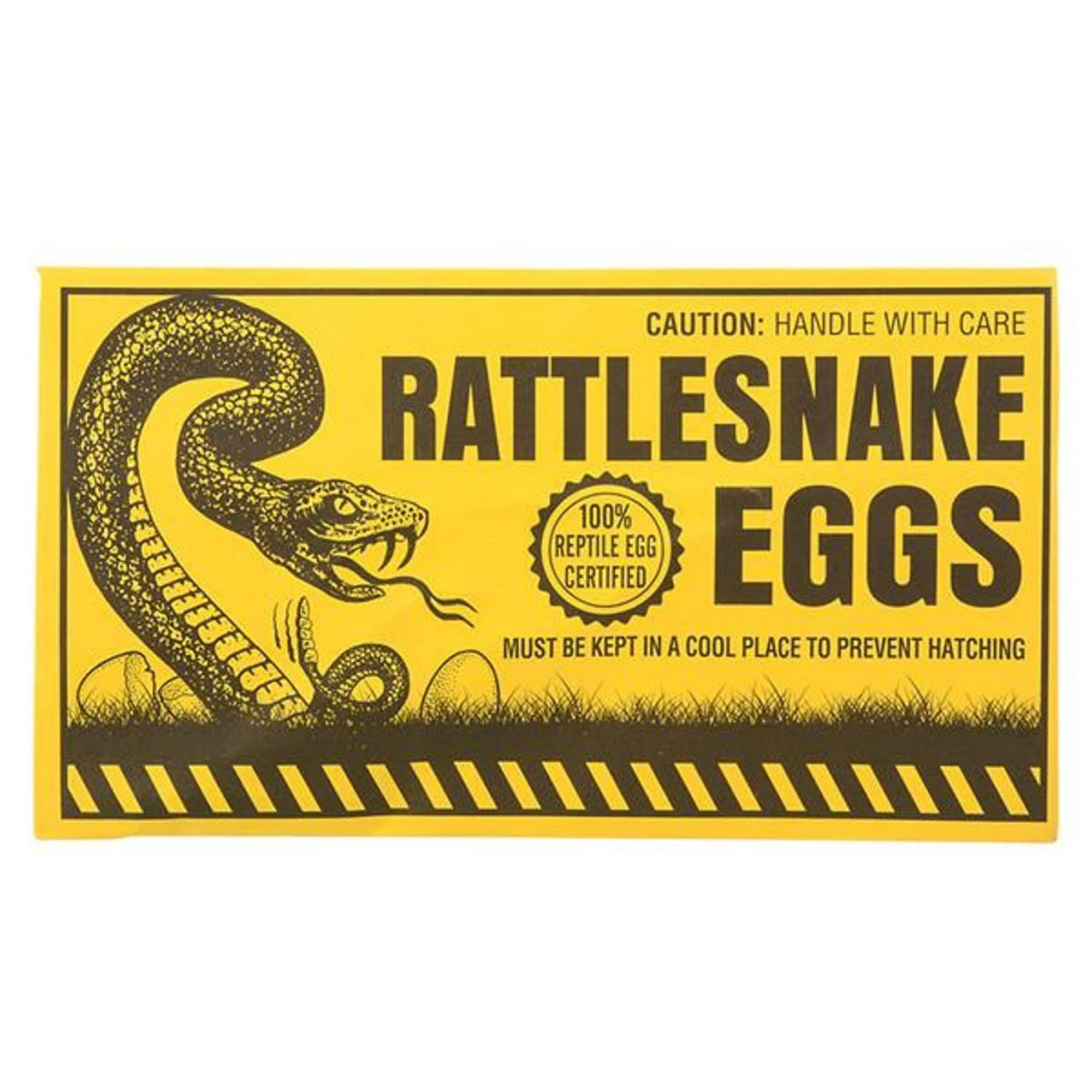 Rhode Island Novelty - Juego De Sobres Con Forma De Huevo Joke Rattlesnake Novelty, 6 Unidades