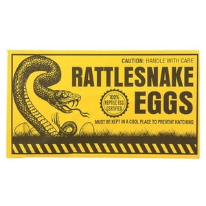 Rhode Island Novelty - Juego De Sobres Con Forma De Huevo Joke Rattlesnake Novelty, 6 Unidades