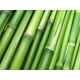 thumbnail image 2 of Esencias Aromáticas Pura Para Velas De Soya Y Parafina 30ml Bambú, 2 of 2