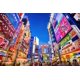 thumbnail image 1 of Rompecabezas Toynk Evening in Akihabara, Japón, 1000 piezas, 1 of 6