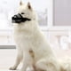 thumbnail image 4 of Bozal para perros pequeños, medianos y grandes, transpirable y apto para beber, antimordeduras, ladridos y lamidos., 4 of 8