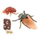 thumbnail image 2 of Ciclo De Vida De Animales Realistas Modelo Ciclo De Crecimiento De Juguete Juguetes Para Ni?os Cigarra, 2 of 5