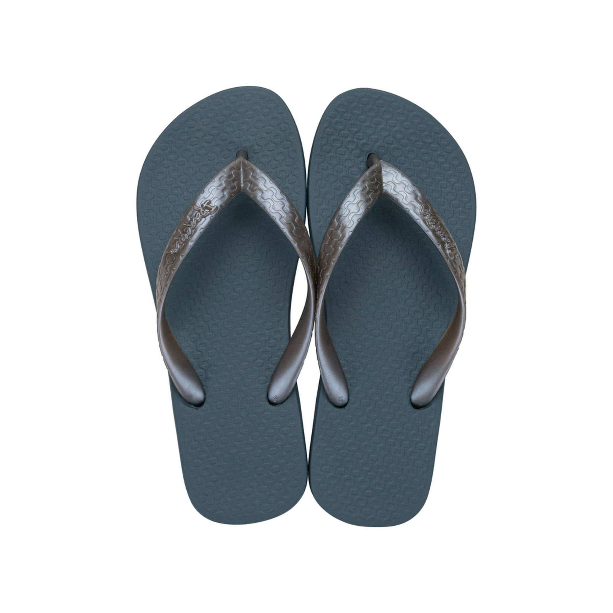 Sandalia Mujer Azul/plata Classica Ipanema