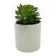 thumbnail image 1 of Planta Artificial 16cm, 1 unidad, 1 of 4