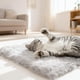 thumbnail image 3 of Escenario Auto calentamiento Gato Cama Estera Para Gatos Perros Pequeños Función 2 En 1 Peluche Suave Lavable Mascota Estera Otoño Invierno Interior Snooze Dormir Para Gatitos Perro Cachor, 3 of 3