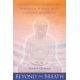 thumbnail image 1 of Libro Beyond the Breath Mindfulness de Tuttle Publishing, 1 of 1