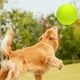 thumbnail image 4 of 24cm Gigante Pelota De Tenis Para Mascota Grande Perros Amarillo, 4 of 7