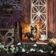 thumbnail image 5 of Almohada Decorativa Sheltie Fall 35x35 Cm, 5 of 6