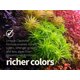 thumbnail image 4 of Fertilizante THE 2HR AQUARIST APT 1 300 ml Zero, 4 of 8