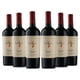 thumbnail image 1 of 6x Vino Sutil Gran Reserva Carmenere 750cc, 1 of 2