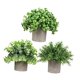 thumbnail image 1 of 3 Piezas De Peque?as Plantas Falsas En Maceta Para Estante, Sala De Estar, Ba?o, Estilo I, 1 of 5