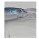 thumbnail image 5 of Señuelo Rapala Magnum Sbm Silver Blue Mackerel 16cm 30gr Sinking, 5 of 7