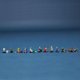 thumbnail image 5 of Set completo de 12 minifiguras LEGO Serie 22 71032, 5 of 6