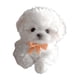 thumbnail image 5 of Juguete Electrónico De Peluche Para Perro, Que Camina Y Mueve La Cola, Bonito Para Mujeres, Niños Y Adultos, Color Blanco, 5 of 5