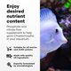thumbnail image 3 of Suplemento para Acuario Brightwell Aquatics ChaetoGro 2 L, 3 of 7