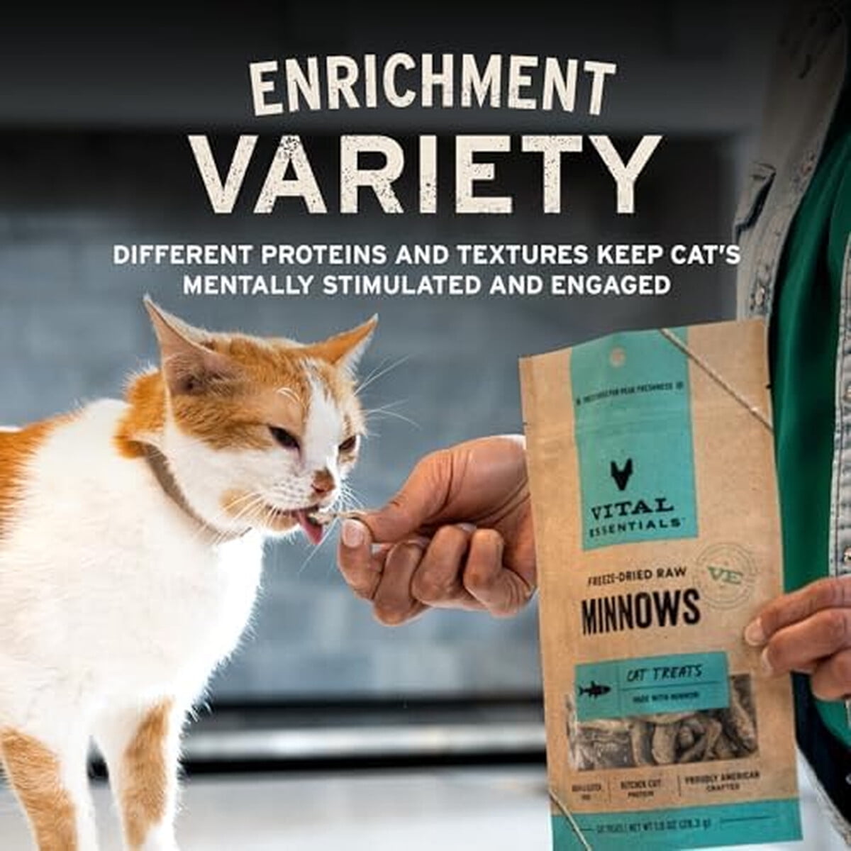 Snack Para Gato Vital Essentials Minnows Liofilizado 14g
