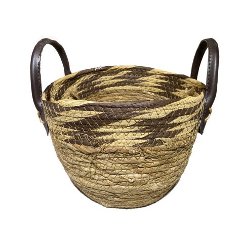 Vgo - Canasto Seagrass