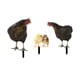thumbnail image 4 of Estatua De Animal De Pollo, Estacas, Letrero De Pollo, Estatua De Jardín Para Porche Y Patio, 4 Uds., 4 of 5