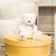 thumbnail image 2 of Peluche de peluche Nat y Jules The Lord's Prayer, 2 of 6