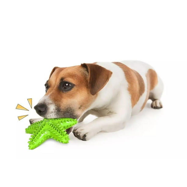 Juguete Para Morder Estrella Interactivo Mascotas Perros Lider