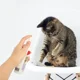 thumbnail image 2 of Spray Calmante Calming Bioline Para Perros Y Gatos 120ml, 2 of 3