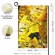 thumbnail image 2 of Erling Haaland -bandera de jardín temática. Regalo perfecto para fans, amigos y familiares, ideal para actividades al aire libre y decoración de fiestas. 32*47CM, 2 of 6