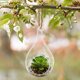 thumbnail image 3 of Planta Artificial Terrario, 3 of 3