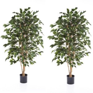 Arbusto Real - Pack 2X1 Planta Artificial Ficus Benjamina 120 Cm C/ 630 Hjs