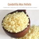 thumbnail image 2 of Pellets de cera de candelilla CoolCrafts vegana 907 g, 2 of 6