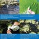 thumbnail image 5 of Algaecide API POND ALGAEFIX, botella de 240 ml para control de algas, 5 of 6