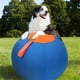 thumbnail image 2 of Pelota de pastoreo para perros, juguetes de perros interactivos de bola grande de 18" para perros medianos y grandes, Pelota de perro con bomba de mano, Pelota de caballo para jugar, Pelota, 2 of 3