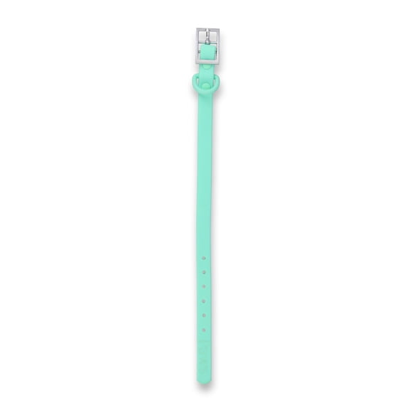 Collar Paws Verde Agua / S