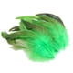 thumbnail image 5 of 50 Plumas Para Manualidades, Decoraciones Para Bodas, Fabricación De Joyas, Color Verde, 5 of 5