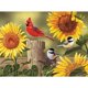 thumbnail image 2 of Brocas y piezas de rompecabezas con girasoles y pájaros cantores, 50 piezas, 38 x 48 cm, 2 of 9