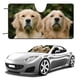 thumbnail image 1 of Golden Retriever Parasol para Parabrisas Delantero Protector Plegable, Visera Solar para Auto Bloquea Rayos UV Mantiene tu Vehículo Fresco140cm*76cm, 1 of 6
