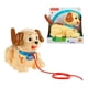 thumbnail image 1 of Juguetes para Bebés Fisher-Price Pequeño Snoopy para Jalar Juguete para Bebés 1+, 1 of 6
