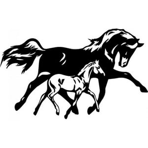 Rienda Libre Graphics - Decomural Foal Horse Farm Animals Ws-32883