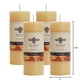 thumbnail image 2 of Cera de abejas 100% pura Big Dipper Wax Works de Pillar Candles (paquete de 4), 2 of 9