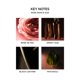 thumbnail image 4 of Recarga líquida Reed Difusor NEST New York Rose Noir & Oud, 4 of 6