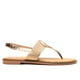 thumbnail image 1 of Sandalia Gala Bronce Chancleta 41, 1 of 3