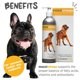thumbnail image 2 of Suplemento Maxxiomega Omega 3 6 Y 9 Para Perros 300 Ml, 2 of 9