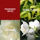 thumbnail image 3 of Perfume Paul Sebastian Design para mujer, 50 ml, Fine Parfum, 3 of 4