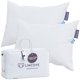 thumbnail image 1 of Almohada Lincove Queen 2 unidades - 800 Fill Power, 1 of 8