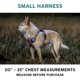 thumbnail image 2 of Arnés anti tirón Embark Pets con chaleco reflectante para perro, 2 of 8