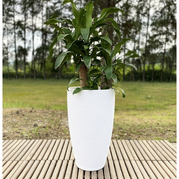 Macetero Blanco Amsterdam 65 cm Alto Con Plato